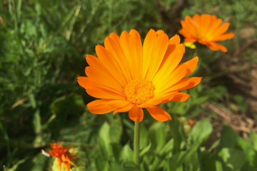 malirka/istockphoto.com