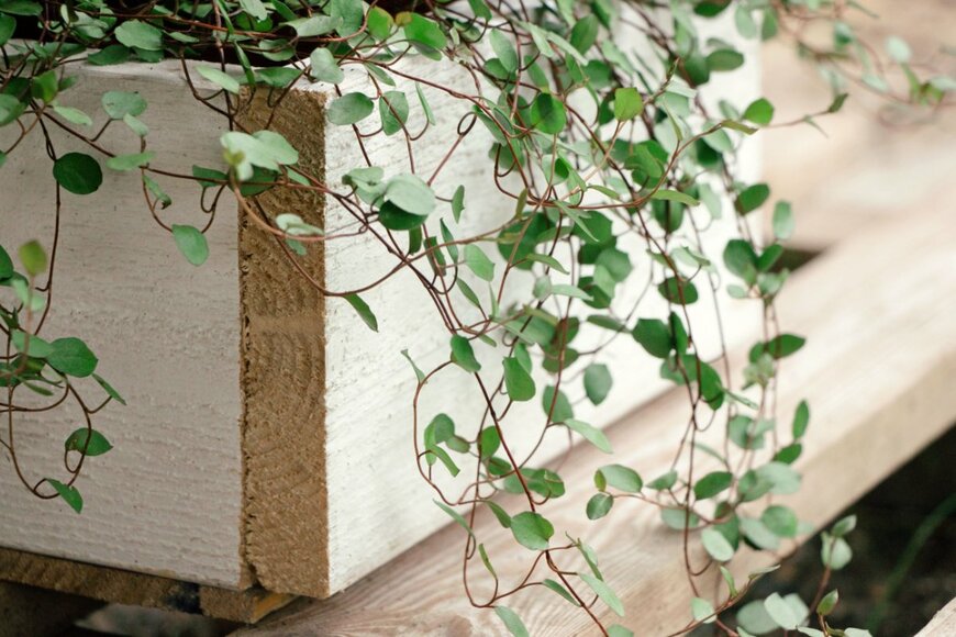 celiachen/shutterstock.com