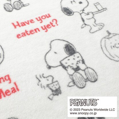 【デコホーム商品】クイックドライフェイスタオル (スヌーピー YUM)