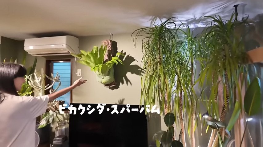 森泉のYouTube動画のスクリーンショット