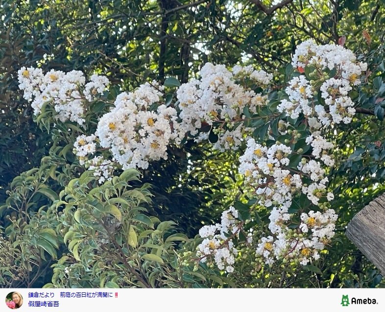 假屋崎省吾のAmebaブログ投稿