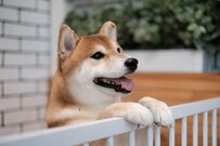  後期高齢者医療保険料が上昇！都道府県ごとの差や年金受給世帯が家計を守る方法