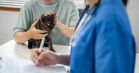 獣医師・動物看護師の平均年収はいくら？国家資格化で注目の「給与とリアルな待遇」