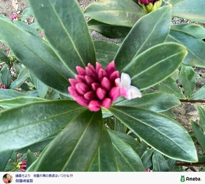 假屋崎省吾の公式ブログ投稿