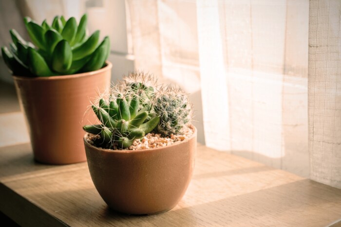 kitzcorner/istockphoto.com