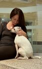 「誰かの世界に喜びをたっぷり届けたい」高速道路に向かって走っていた犬を保護、新しい家庭を待つ姿に温かな声