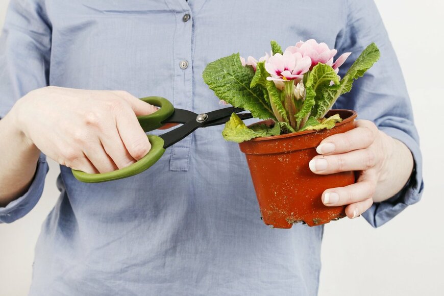 Agnes Kantaruk/shutterstock.com