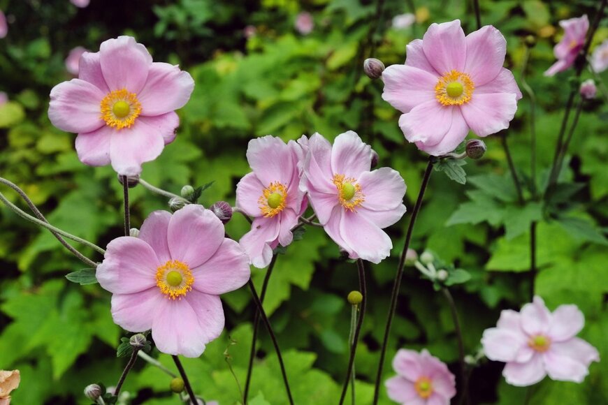 Alex Manders/shutterstock.com