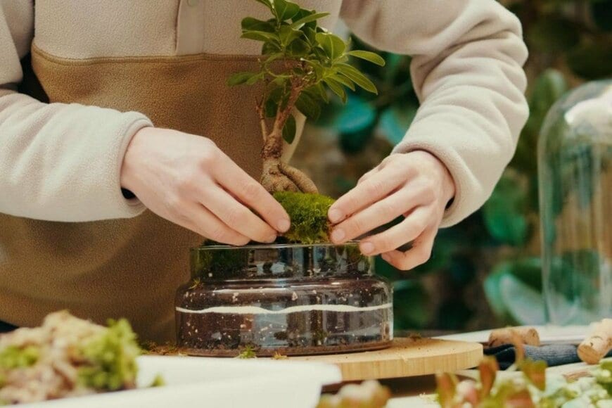 ローズマリーがおしゃれな「盆栽」が話題に　まさかのアイデアに「天才」「真似したい」