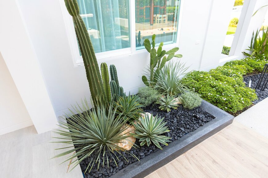 ben bryant/Shutterstock.com