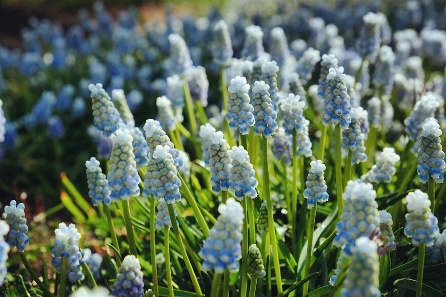 Alex Manders/istockphoto.com