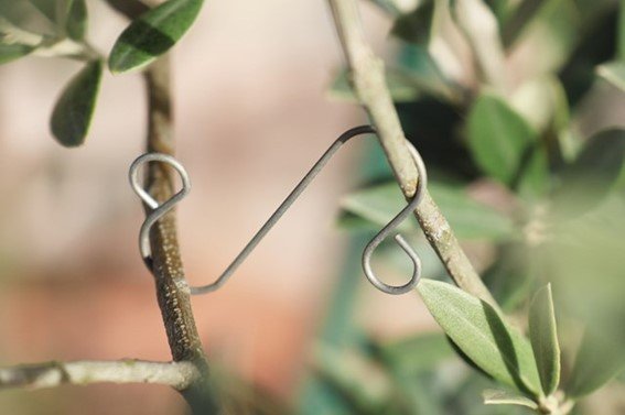 画像出所：筆者撮影