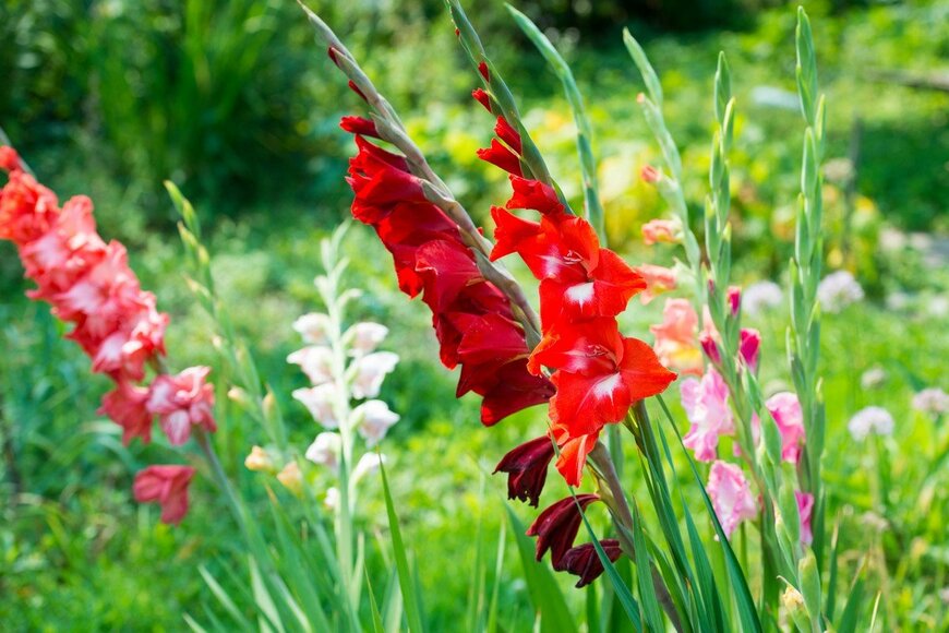 ataliaBulatova/istockphoto.com