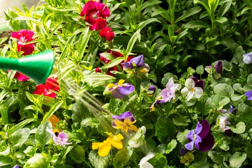 rigsbyphoto/shutterstock.com