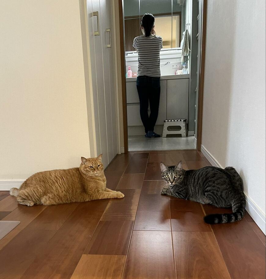 出所：@kagisuzu0531