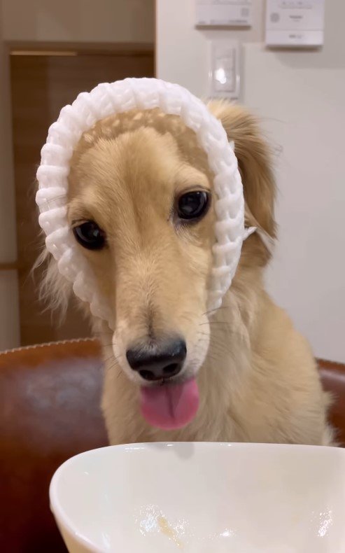 出所：himaribow.k.k