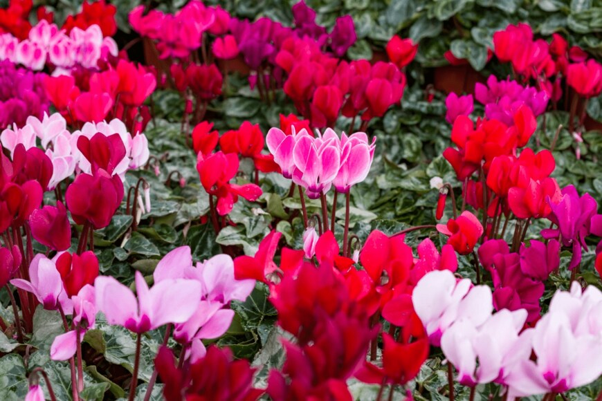 zilber42/istockphoto.com