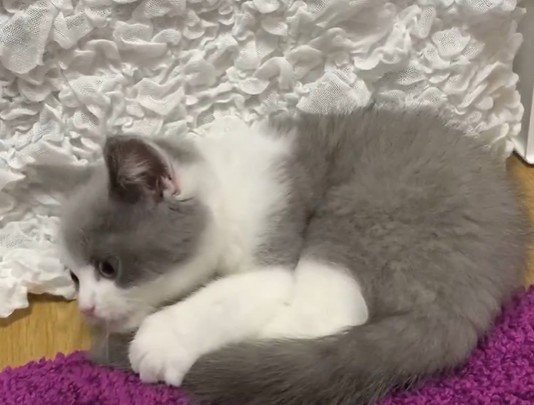 出所：@omochiomoching