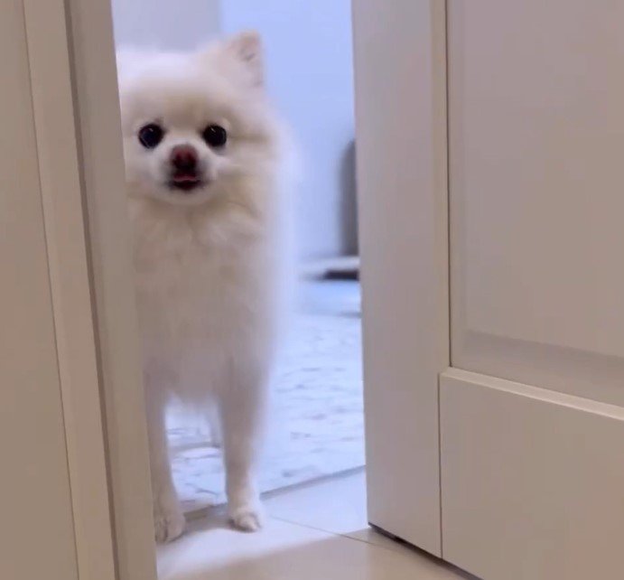 出所：@boku_ponchan