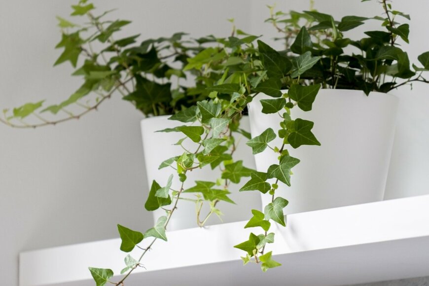 Dariusz Jarzabek/shutterstock.com