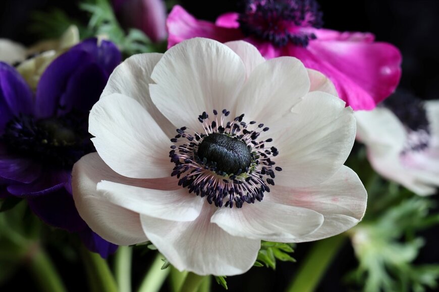 Edimoh/shutterstock.com