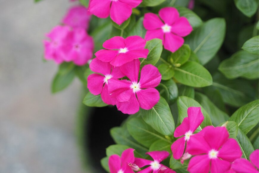 art Photo/istockphoto.com