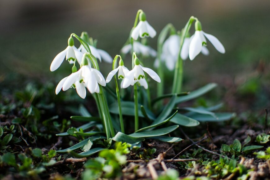 Partsey Galyna/shutterstock.com