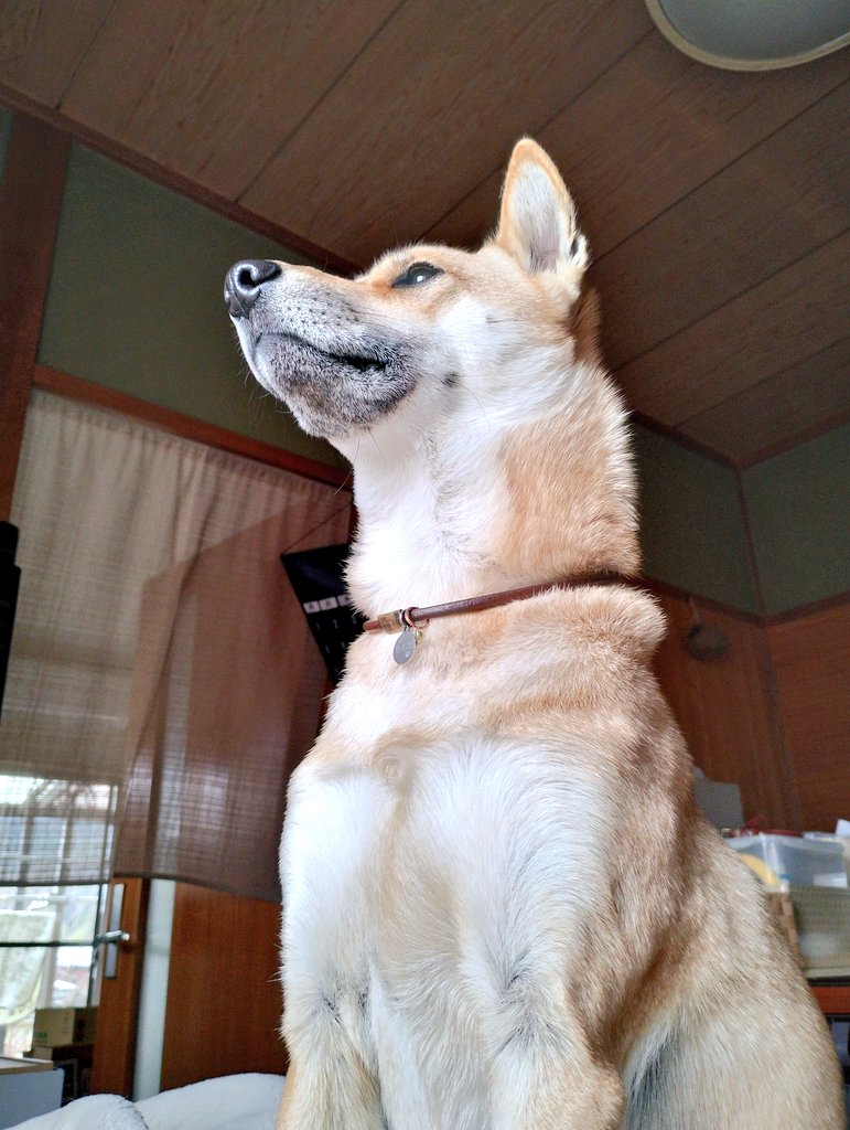 出所：@momochun10