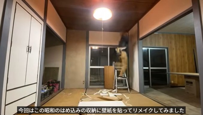 投稿動画のワンシーン