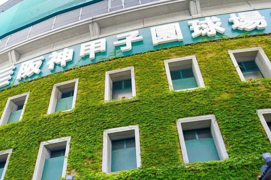 甲子園を主催する高野連の事業収益を紹介