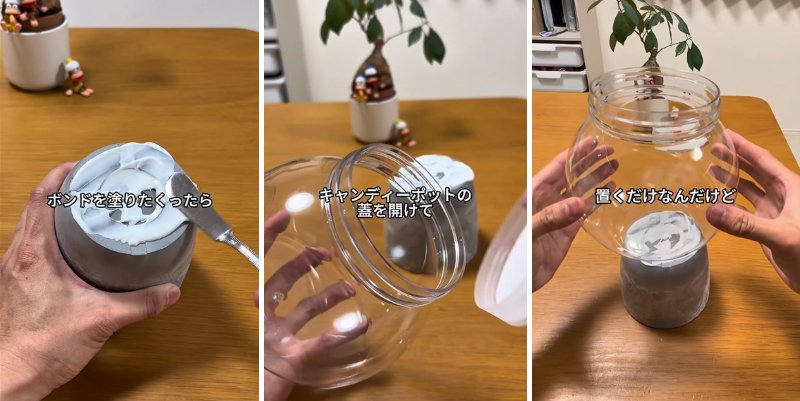 投稿の画像