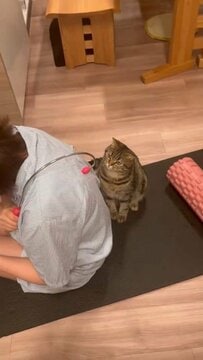 肩こりのツボを探す背中を見守る猫…前足でそっと「ここだよ」と教えてくれた