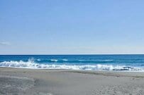 浜辺で発見した「ガラス細工のような生物」に思わず目を疑う　その正体に「大きくてびっくり」