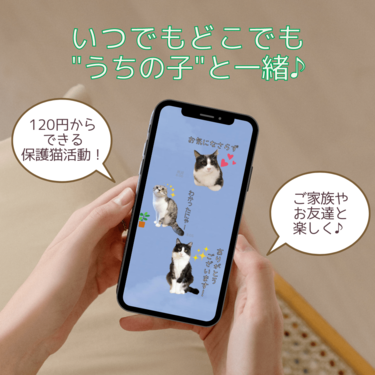 愛猫のLINEスタンプを簡単作成！ LINEで写真を送れば完成 | 2ページ目 | LIMO | くらしとお金の経済メディア