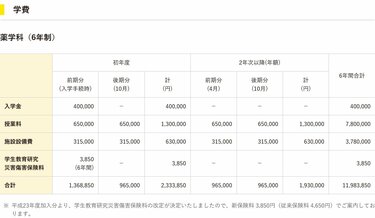 薬学部・学費比較】東京薬科大・星薬科大・昭和薬科大「6年間の学費が一番高い大学はどこ？」  2024年10月から児童手当が拡充へ《大学学費、どう準備していく？》 | 3ページ目 | LIMO | くらしとお金の経済メディア