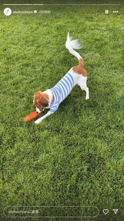 大谷翔平のInstagramストーリーズ投稿