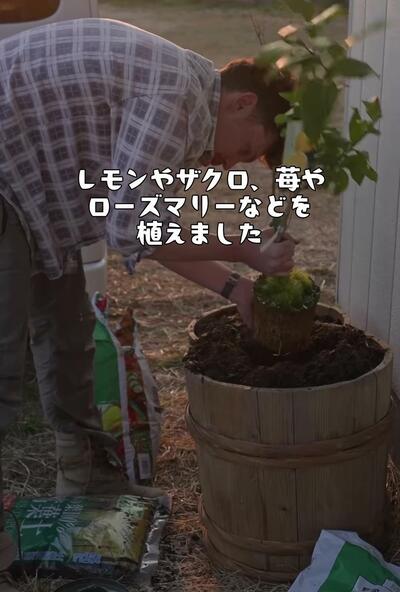 レモンやザクロ、苺やローズマリーなどを植えて