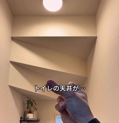 投稿の画像