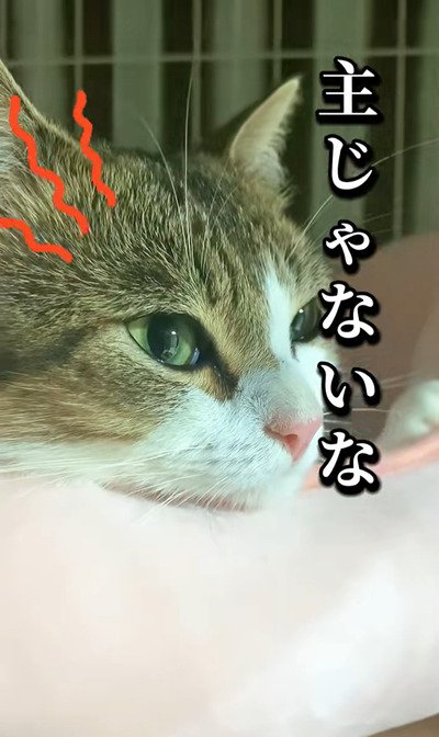 投稿の画像
