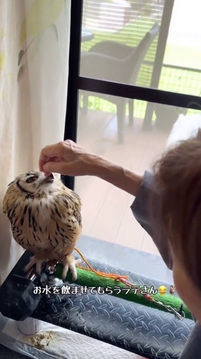 投稿動画のワンシーン