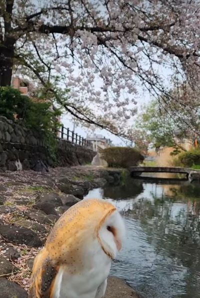 投稿動画のワンシーン