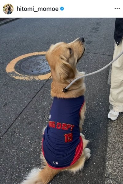 高橋ひとみのInstagram投稿