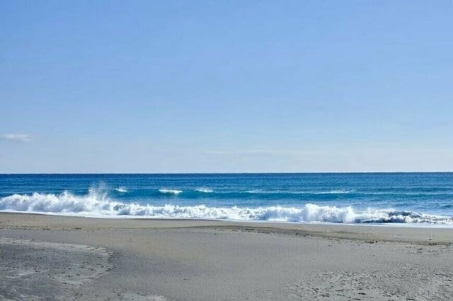 海に浮かんでいた「ホースのゴミ」のようなもの　「まさかの正体」に仰天してしまう