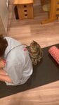 肩こりのツボを探す背中を見守る猫…前足でそっと「ここだよ」と教えてくれた