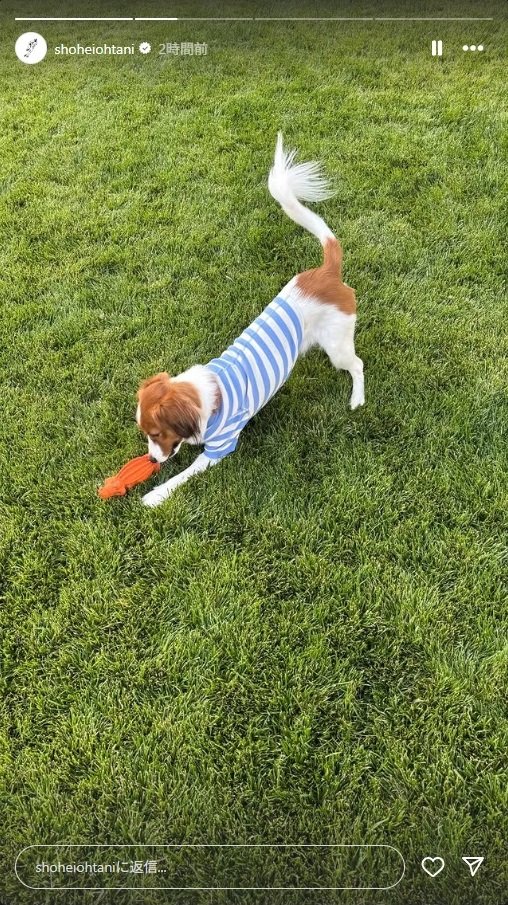 出所：大谷翔平のInstagram（＠shoheiohtani）参照日：2025年6月13日