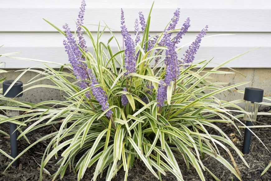 lawcain/istockphoto.com