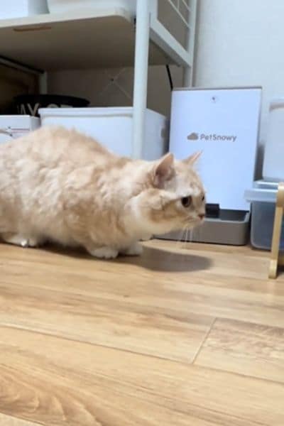 出所：@nui0904さん