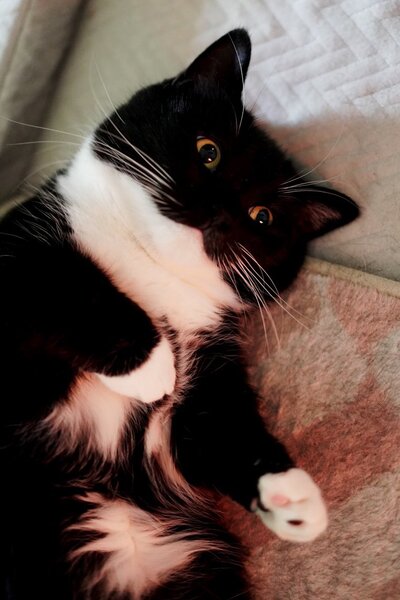 出所：@unicouniuni3