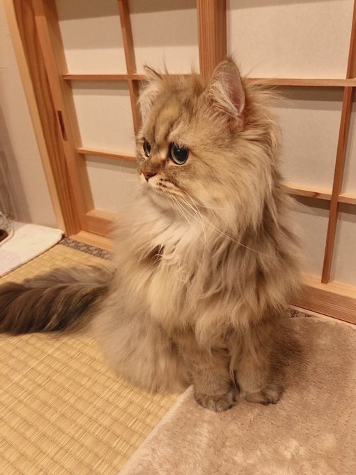 出所：@UphQepCv8J