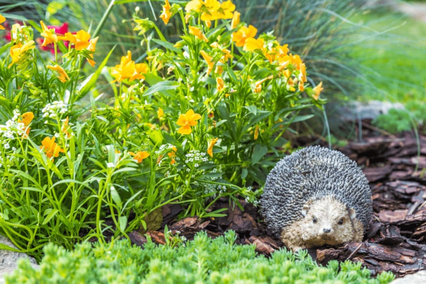 mariakray/shutterstock.com